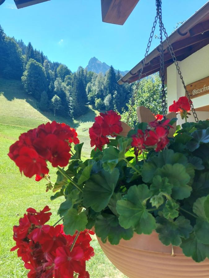 Bergmomente Montafon Ferienhaus Bitschweil Villa Tschagguns Bagian luar foto