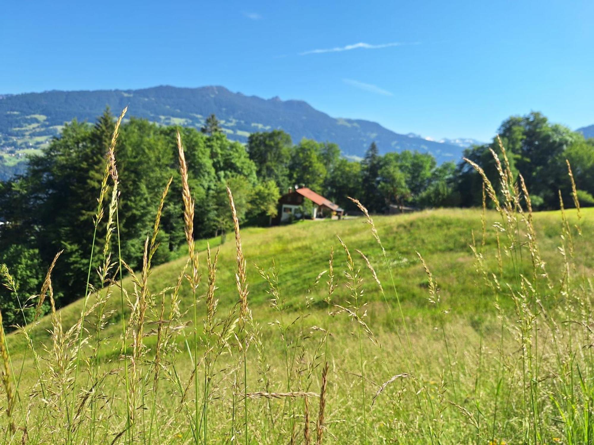 Bergmomente Montafon Ferienhaus Bitschweil Villa Tschagguns Bagian luar foto